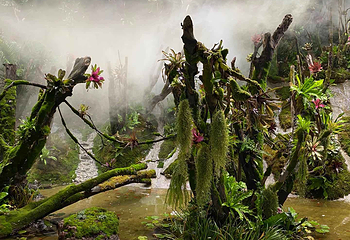 济宁昆虫展第 6 张图片