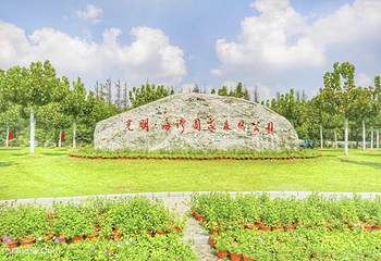 上海海湾国家森林公园第 8 张图片