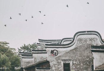 南浔古镇第 11 张图片