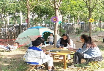 正定古城樱花小镇第 14 张图片