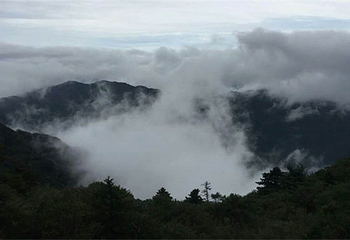 花脖山景区第 3 张图片
