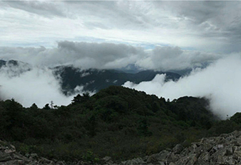 花脖山景区第 4 张图片