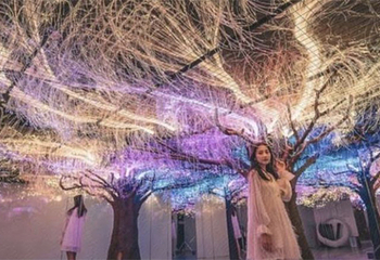 西安钟楼星空艺术馆第 5 张图片