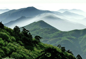 天目山自然保护区第 10 张图片