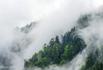 天目山自然保护区第 2 张图片