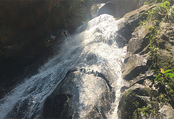 新丰江国家森林公园桂山风景区第 3 张图片