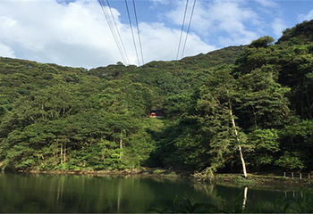 新丰江国家森林公园桂山风景区第 13 张图片