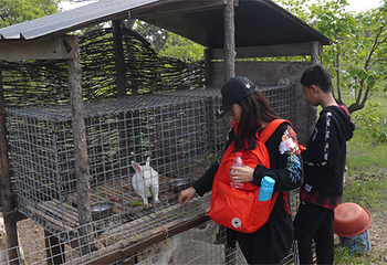 泰生小镇旅游景区第 11 张图片