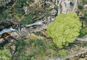 浙江大明山地质公园第 10 张图片