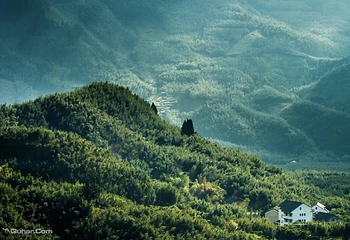 天目山自然保护区第 5 张图片