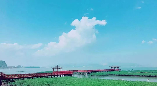 红树林湿地公园