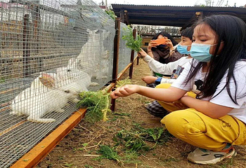 正定古城樱花小镇第 8 张图片