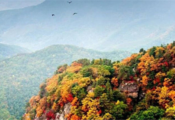 天华山第 8 张图片