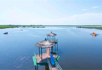 鹤鸣湖湿地第 5 张图片