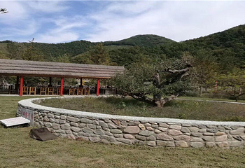 龙泉湖国家风景区第 12 张图片