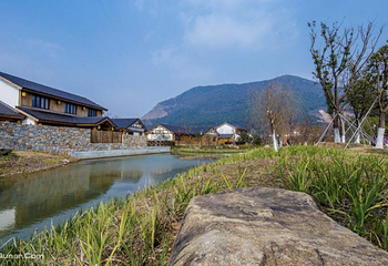 大阳山国家森林公园第 15 张图片