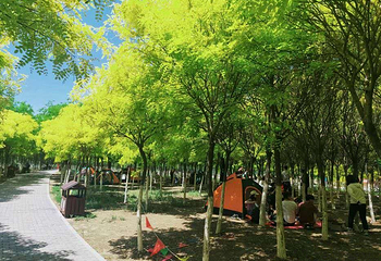 西青郊野公园第 16 张图片