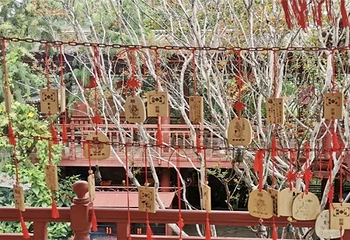 伽峰山风景区第 51 张图片