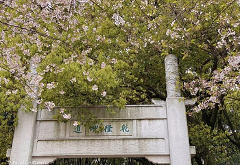 苏州上方山国家森林公园第 9 张图片