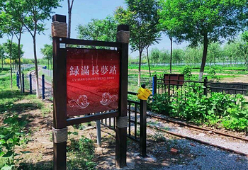 西青郊野公园第 10 张图片