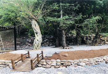 伽峰山风景区第 39 张图片