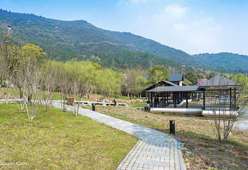大阳山国家森林公园第 20 张图片