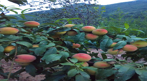 北方祖山风景区