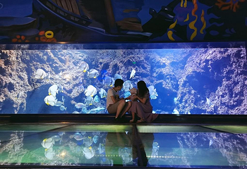 南昌融创文旅城第 39 张图片