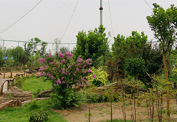 滨河野生动物园第 11 张图片
