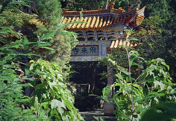 伽峰山风景区第 53 张图片