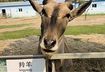 滨河野生动物园第 9 张图片