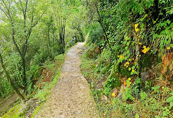 伽峰山风景区第 11 张图片