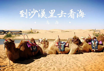 乌海湖休闲度假旅游区第 18 张图片