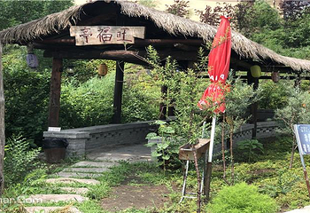 花之语养息谷第 12 张图片