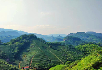 武义县七旗山旅游风景区第 10 张图片