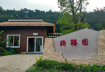 十里蓝山第 30 张图片