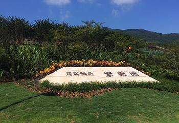 十里蓝山第 2 张图片