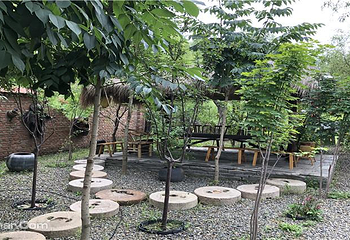 花之语养息谷第 6 张图片