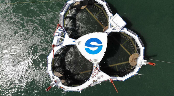 “耕海1号”海洋牧场综合体平台