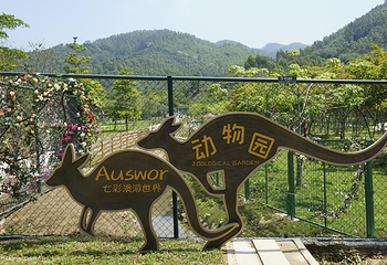 七彩澳游世界第 47 张图片