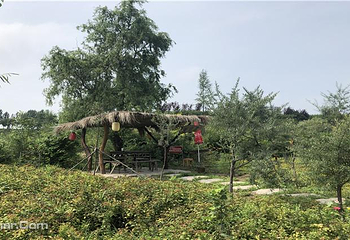 花之语养息谷第 11 张图片
