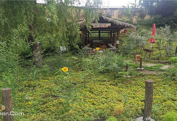 花之语养息谷第 13 张图片