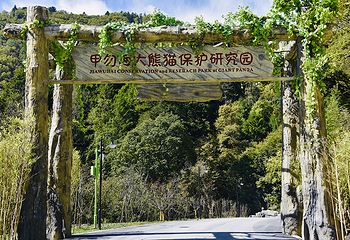 九寨沟甲勿海大熊猫保护研究园第 3 张图片