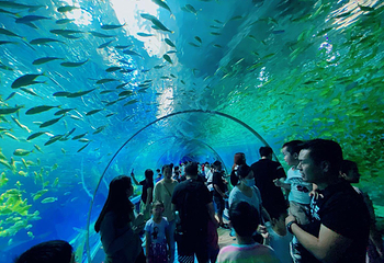 阜阳尧泰汉海海洋公园第 8 张图片