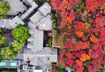 九如山休闲旅游度假区第 16 张图片