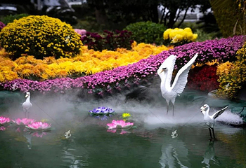 农科花海第 6 张图片