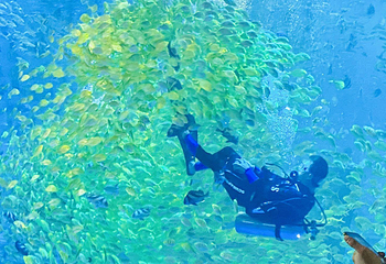 阜阳尧泰汉海海洋公园第 17 张图片