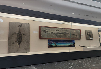 海昏侯龙文化展示馆(海昏大道店)第 7 张图片