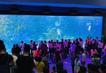 阜阳尧泰汉海海洋公园第 15 张图片