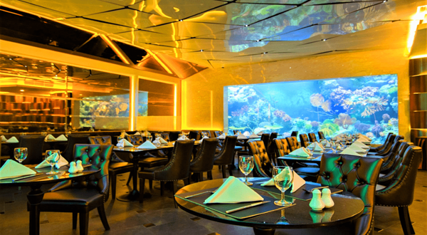 水族馆餐厅-COPPER Aquarium